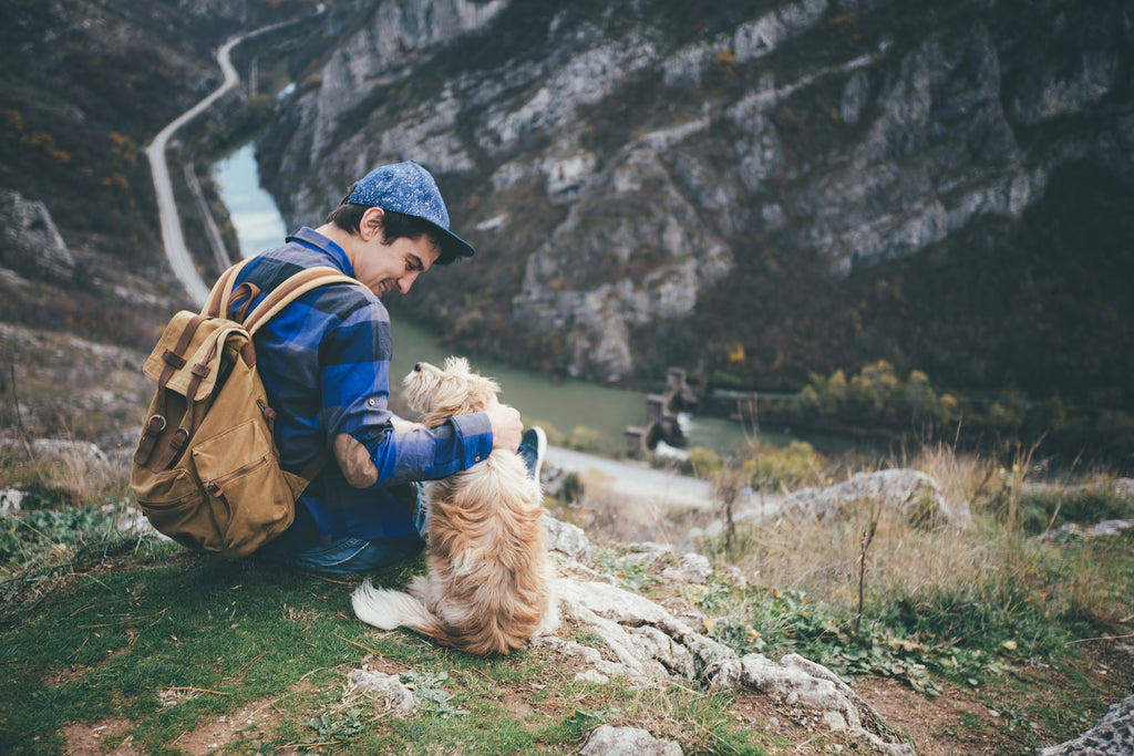 Dog Travel Bowls Are Your Saviour for Adventures on the Go!